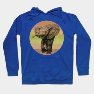 Cute Baby Elephant on Retro-style Sunset in Africa Colors Hoodie